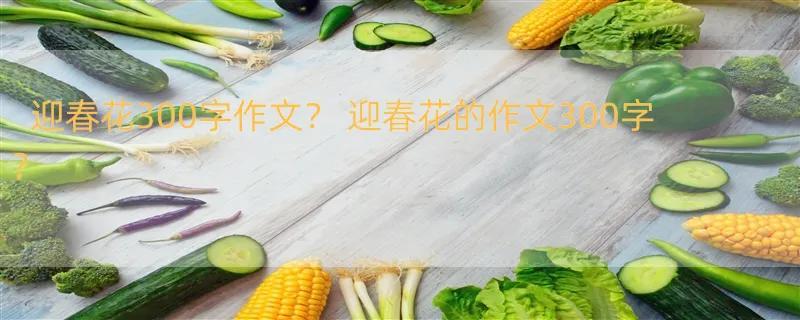 迎春花300字作文？ 迎春花的作文300字？