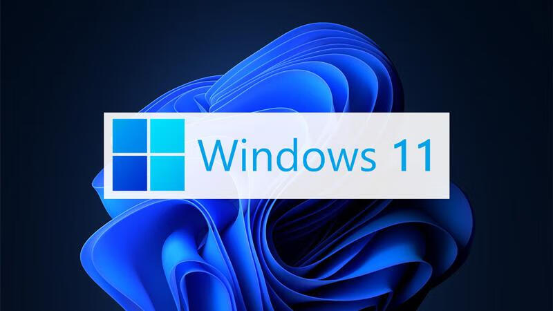Windows 11成功解决Shell和Office APIs问题