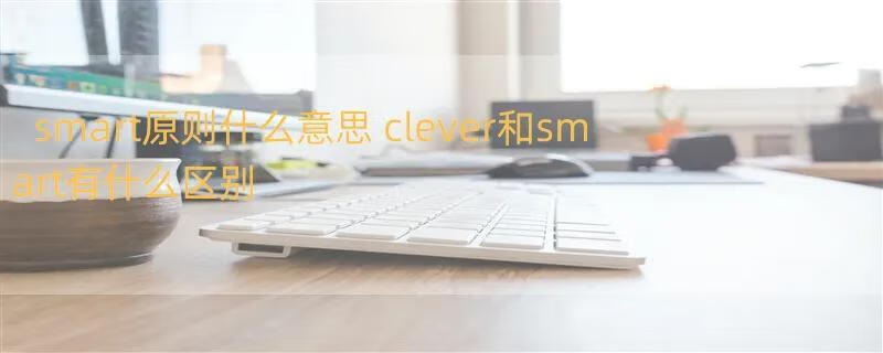 smart原则什么意思 clever和smart有什么区别