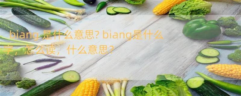 biang 是什么意思? biang是什么字，怎么读，什么意思？