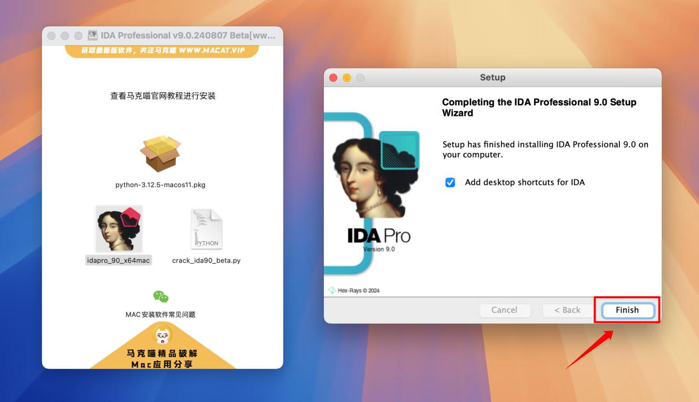 IDA Professional for mac v9.0.240807 Beta版 反汇编逆向神器