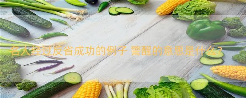 名人经过反省成功的例子 警醒的意思是什么？