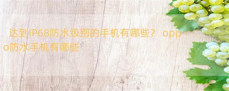 达到IP68防水级别的手机有哪些？ oppo防水手机有哪些