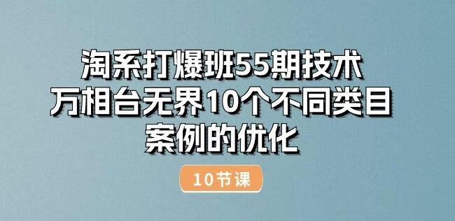 淘系打爆班55期技术：万相台无界10个不同类目案例的诊断优化(10节)