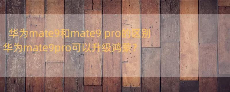 华为mate9和mate9 pro的区别 华为mate9pro可以升级鸿蒙？