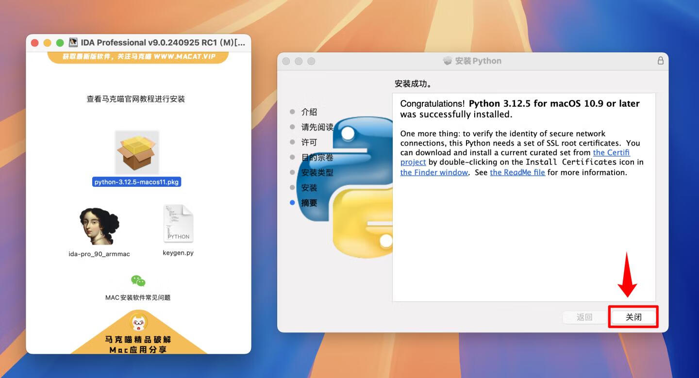 IDA Professional for mac v9.0.240925 RC1英文版 反汇编逆向神器