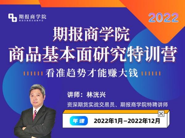 林洸兴-期报商学院商品基本面研究特训营2022