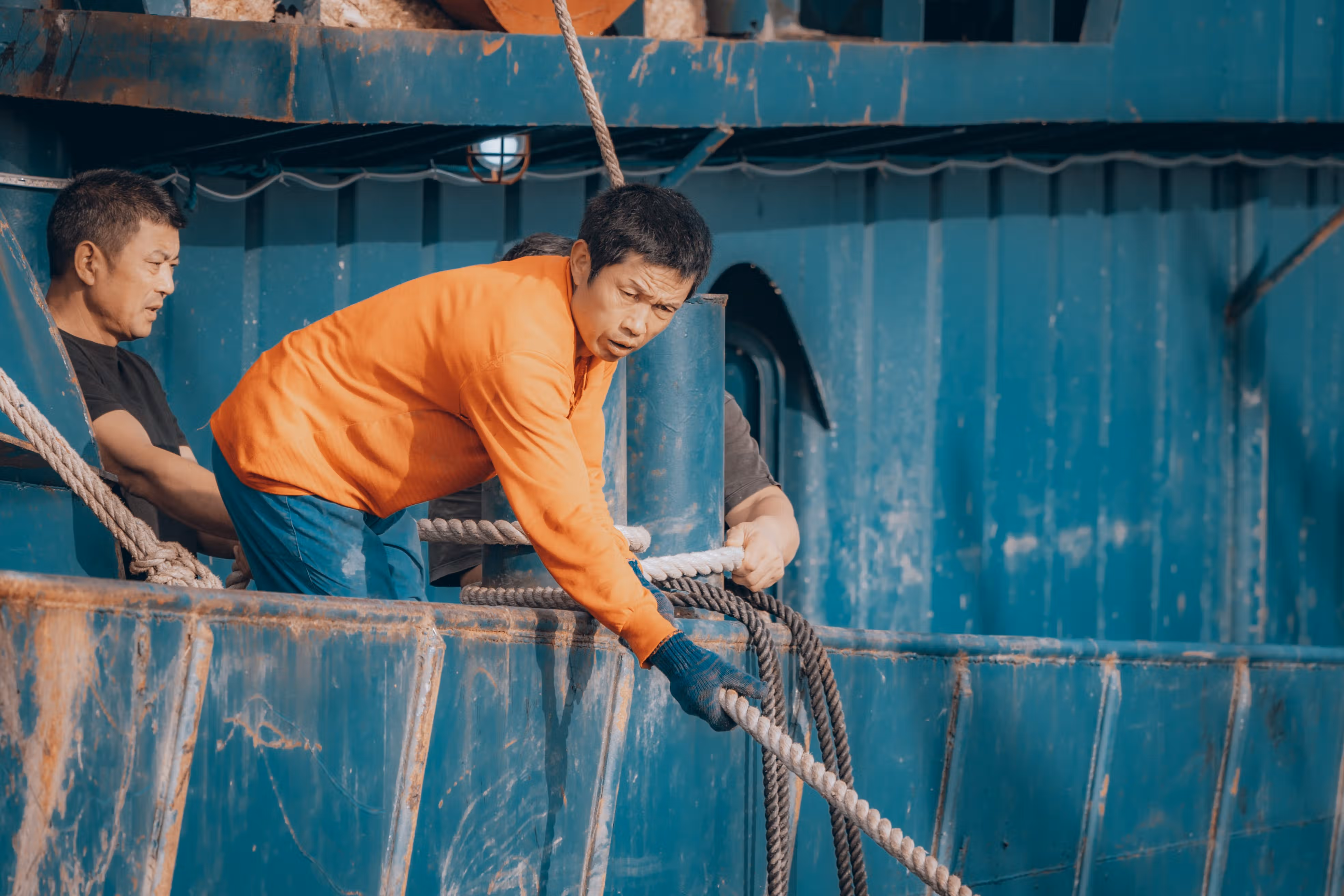 点击可放大观看