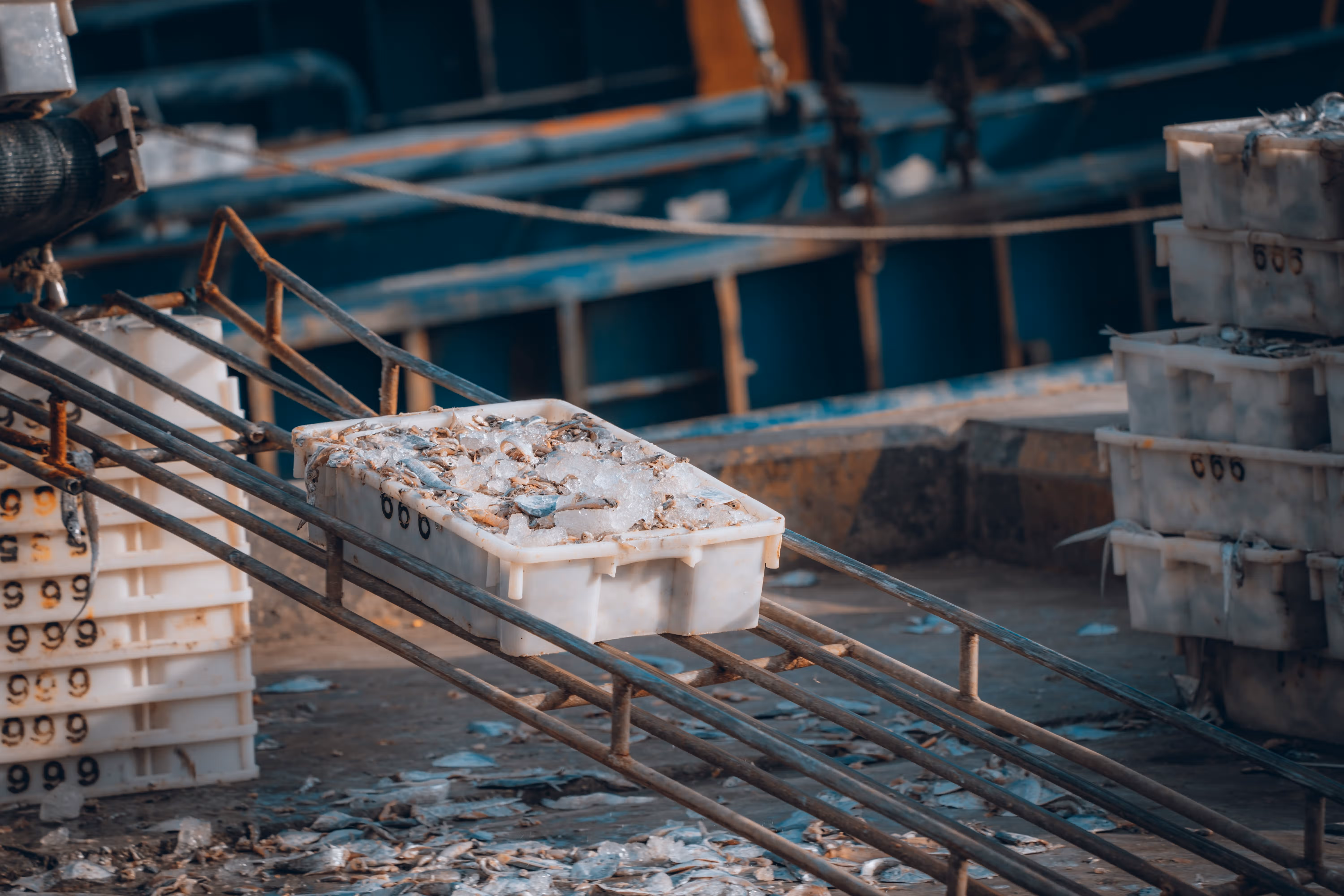 点击可放大观看