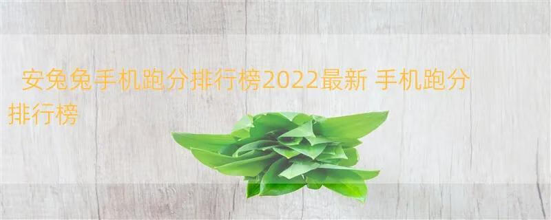 安兔兔手机跑分排行榜2022最新 手机跑分排行榜