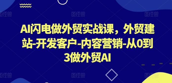 AI闪电做外贸实战课，外贸建站-开发客户-内容营销-从0到3做外贸AI