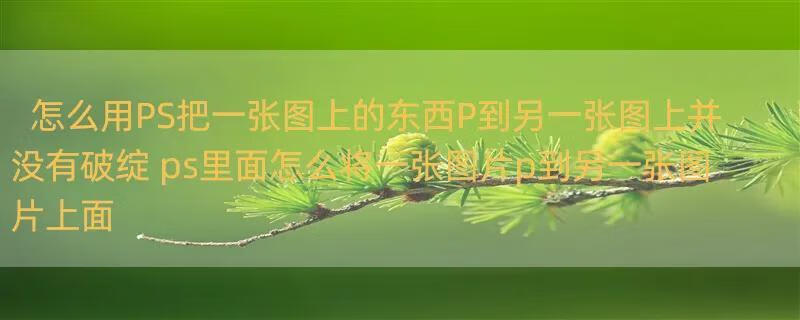 怎么用PS把一张图上的东西P到另一张图上并没有破绽 ps里面怎么将一张图片p到另一张图片上面