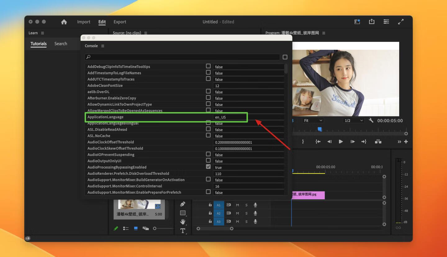 Adobe Premiere Pro 2024 for Mac v24.0.3 中文激活版 intel/M1通用(pr2024)