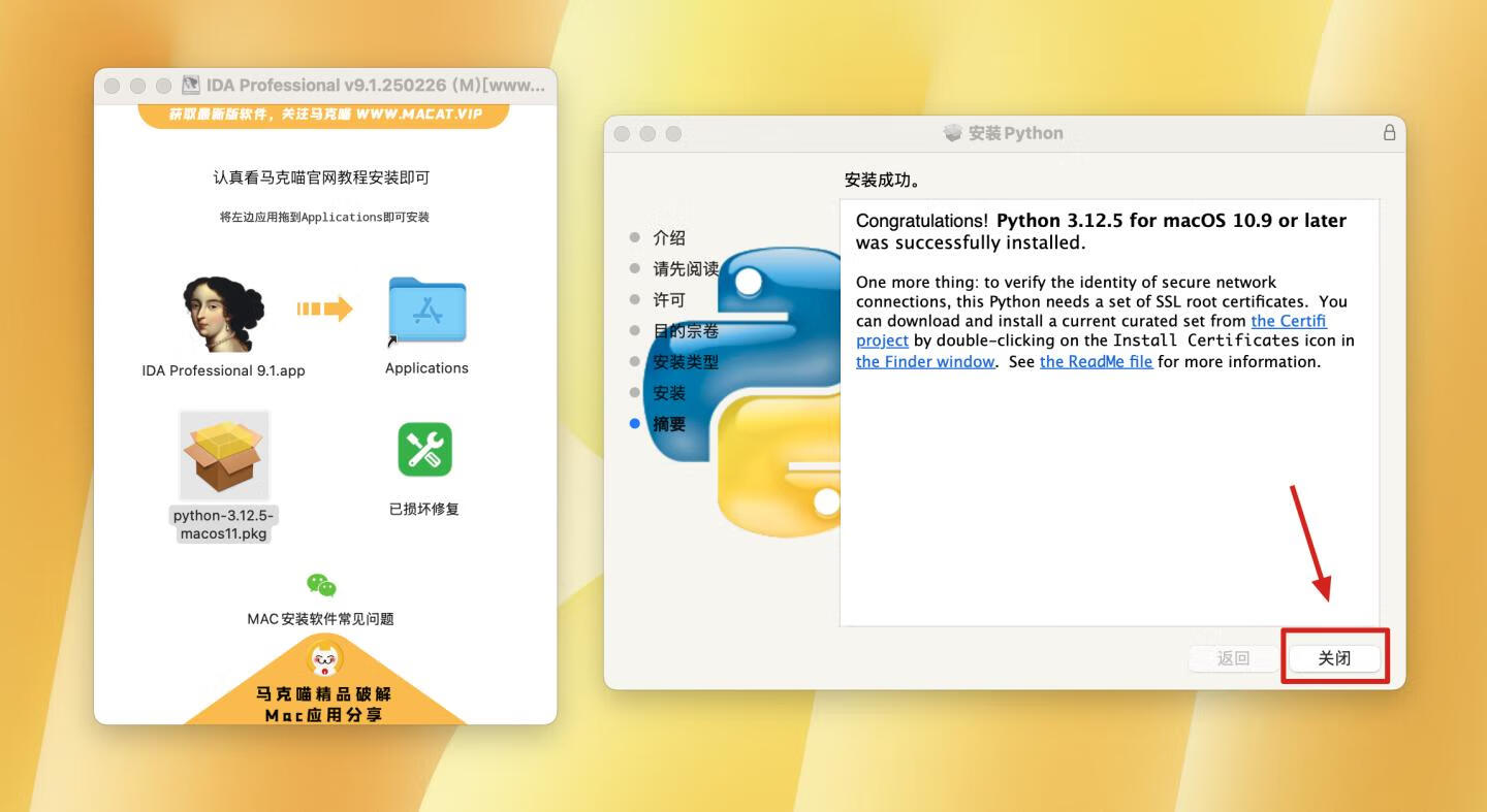 IDA Professional for mac v9.1.250226 英文版 反汇编逆向神器