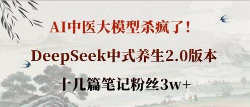 AI中医大模型杀疯了！DeepSeek中式养生2.0版本，十几篇笔记粉丝3w+-五块四源码网