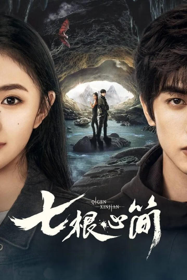 七根心简(2025)更11集