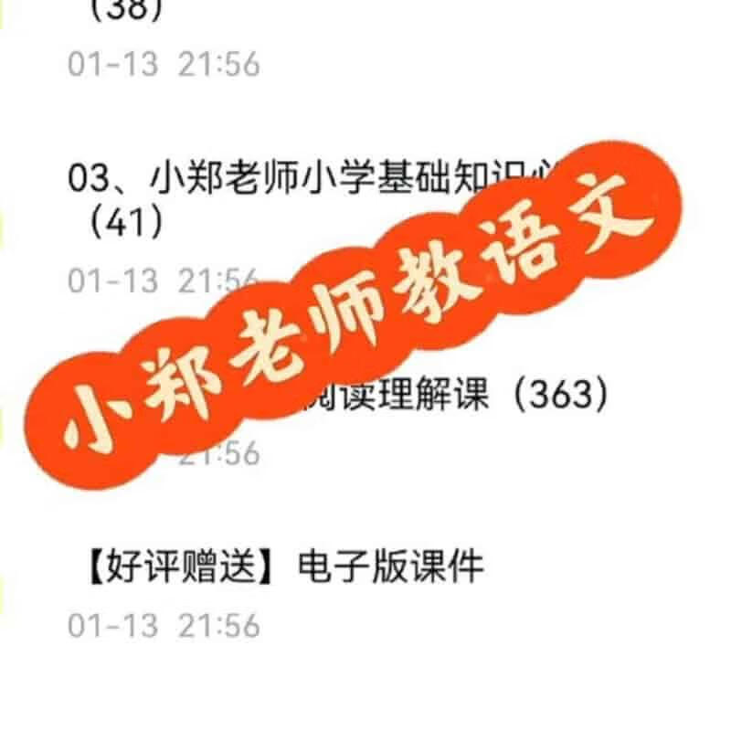 文老师小学语文课程合集 (基础知识+阅读理解+作文)-稀缺资源网