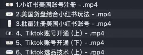 美国小红书与TikTok全流程出海实操:账号注册、银行开户、税务与货款回国全攻略 美国小红书与TikTok全流程出海实操:账号注册、银行开户、税务与货款回国全攻略
