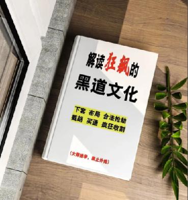 《解读狂飙中的黑道文化》：隐藏的黑道生存法则-稀缺资源网