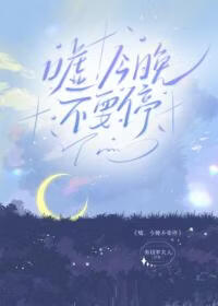 嘘，今晚不要停