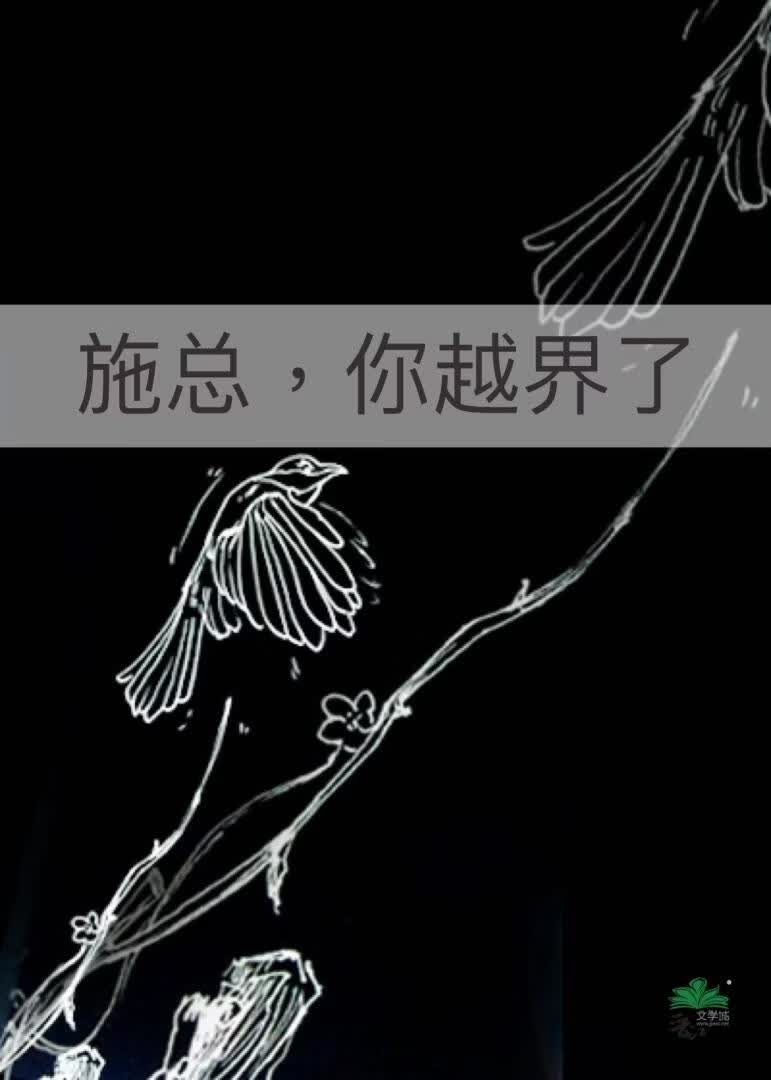 施总，你越界了