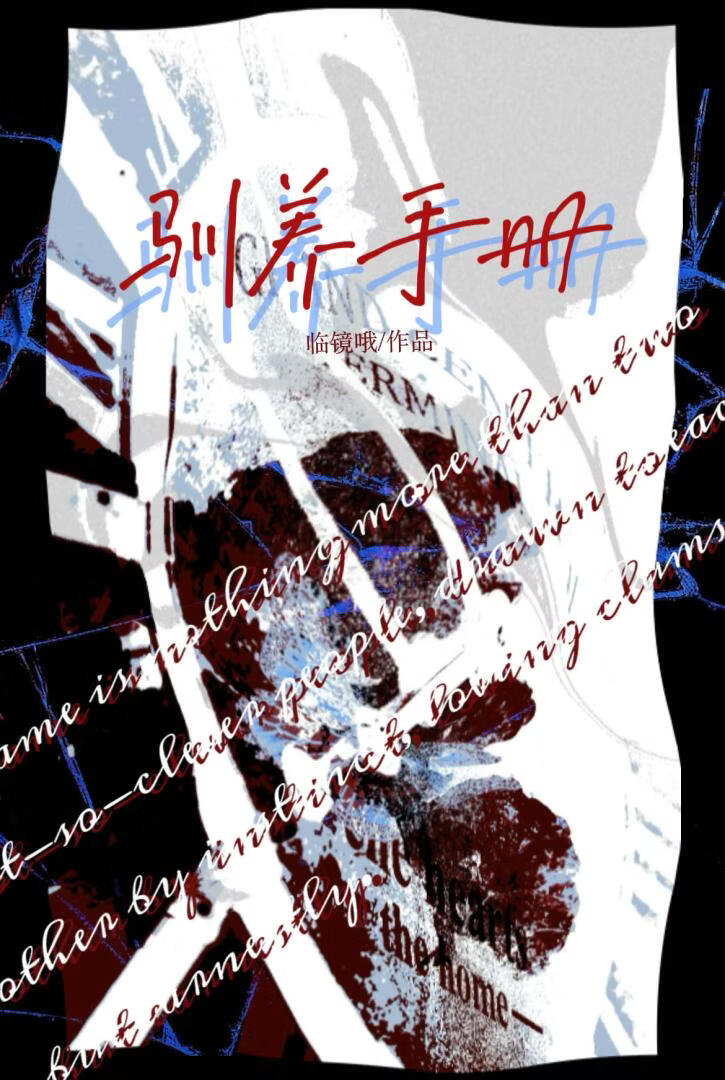 美人的直男驯养手册