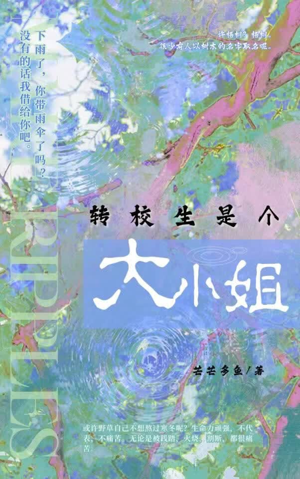 转校生是个大小姐