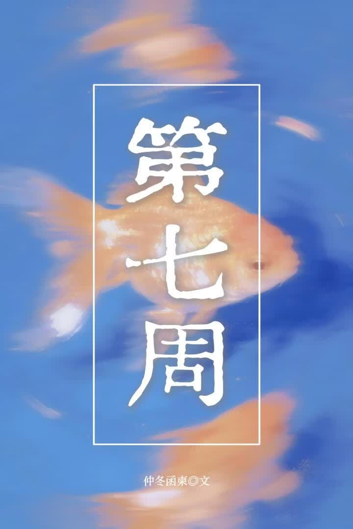 第七周 封面