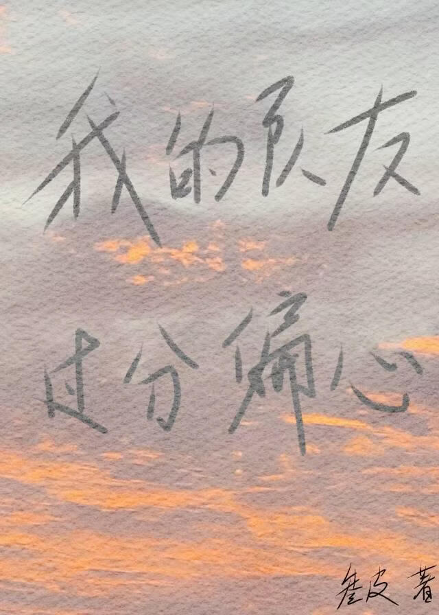 我的队友过分偏心[全息] 封面