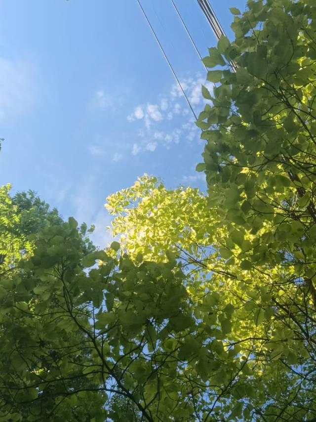 为我停留 封面