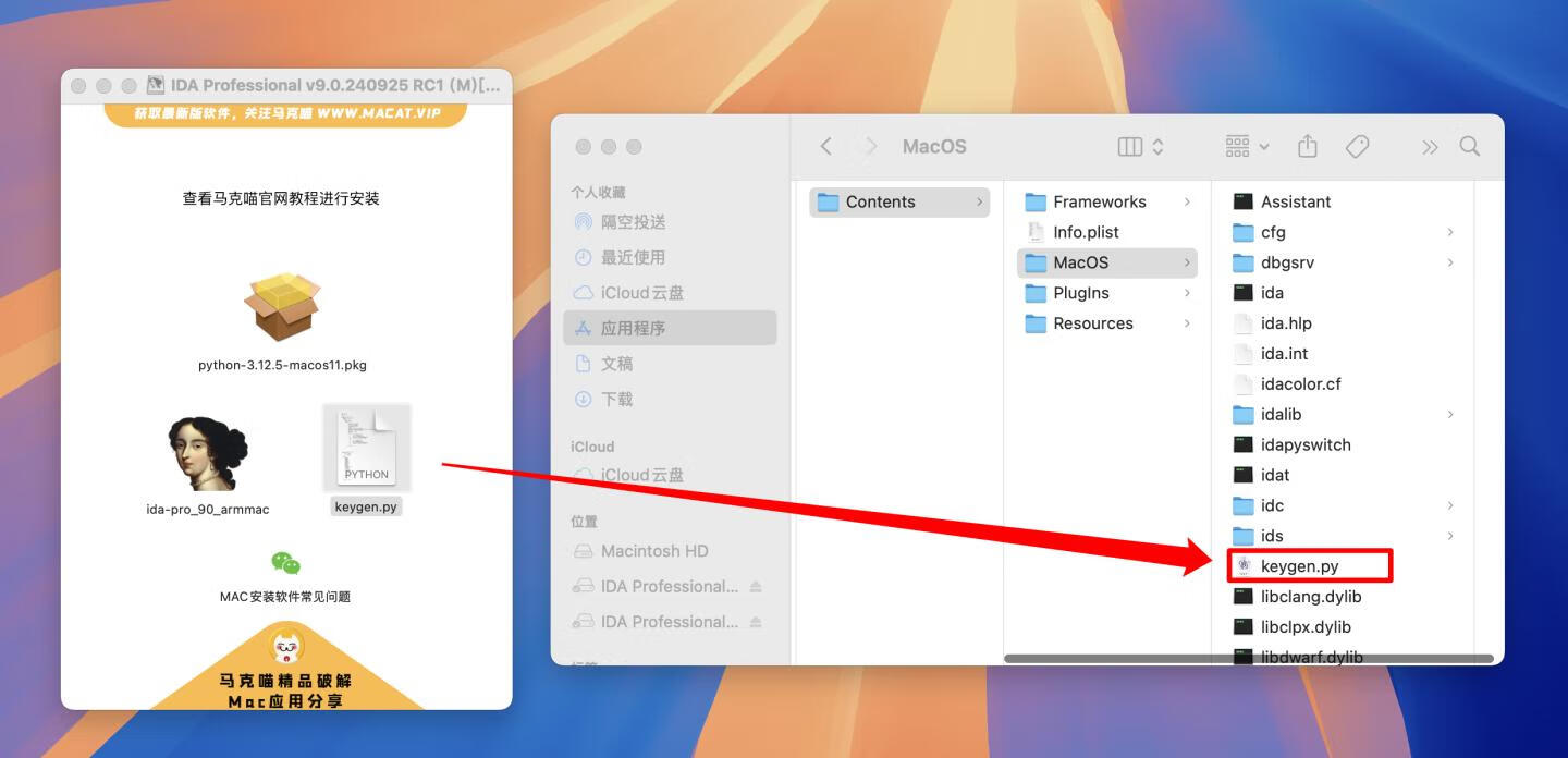 IDA Professional for mac v9.0.240925 RC1英文版 反汇编逆向神器