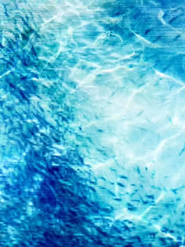 人鱼今天也按时浮出水面