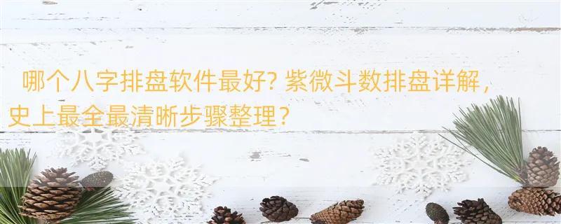 哪个八字排盘软件最好? 紫微斗数排盘详解，史上最全最清晰步骤整理？