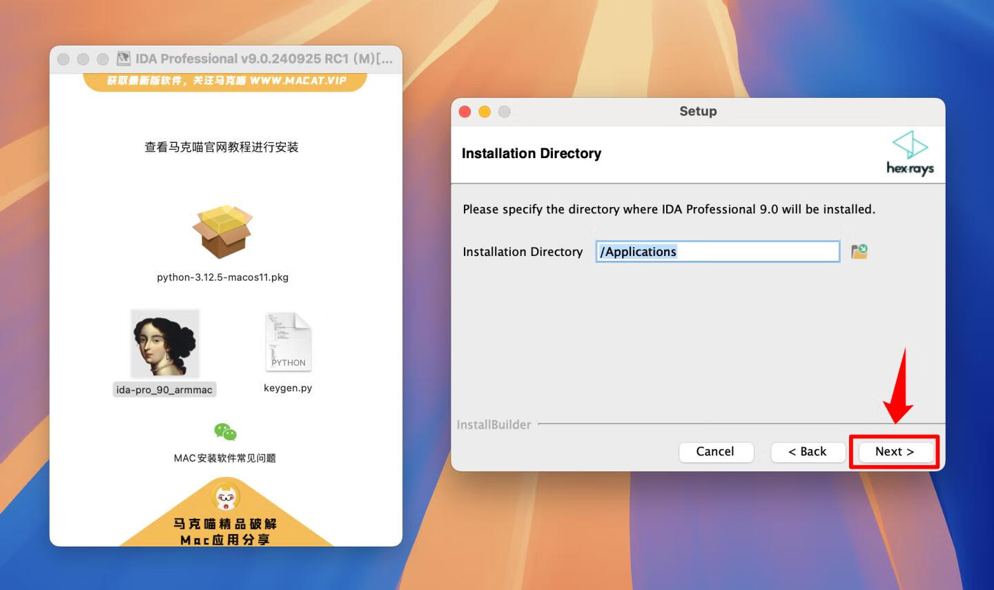 IDA Professional for mac v9.0.240925 RC1英文版 反汇编逆向神器