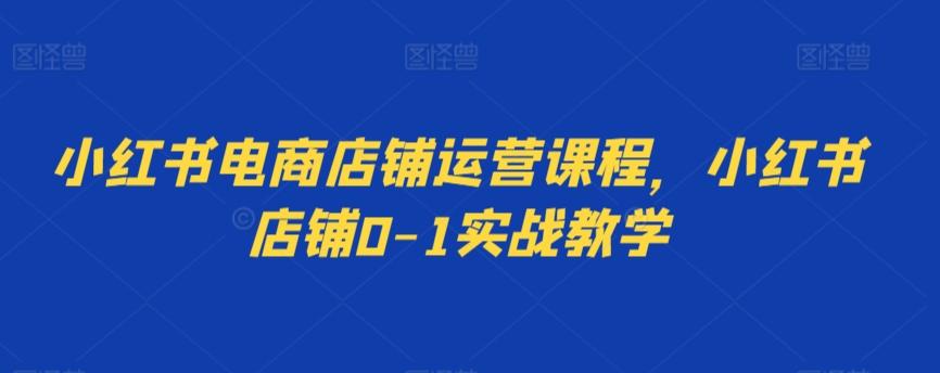 小红书电商店铺运营课程，小红书店铺0-1实战教学小红书电商店铺运营课程，小红书店铺0-1实战教学