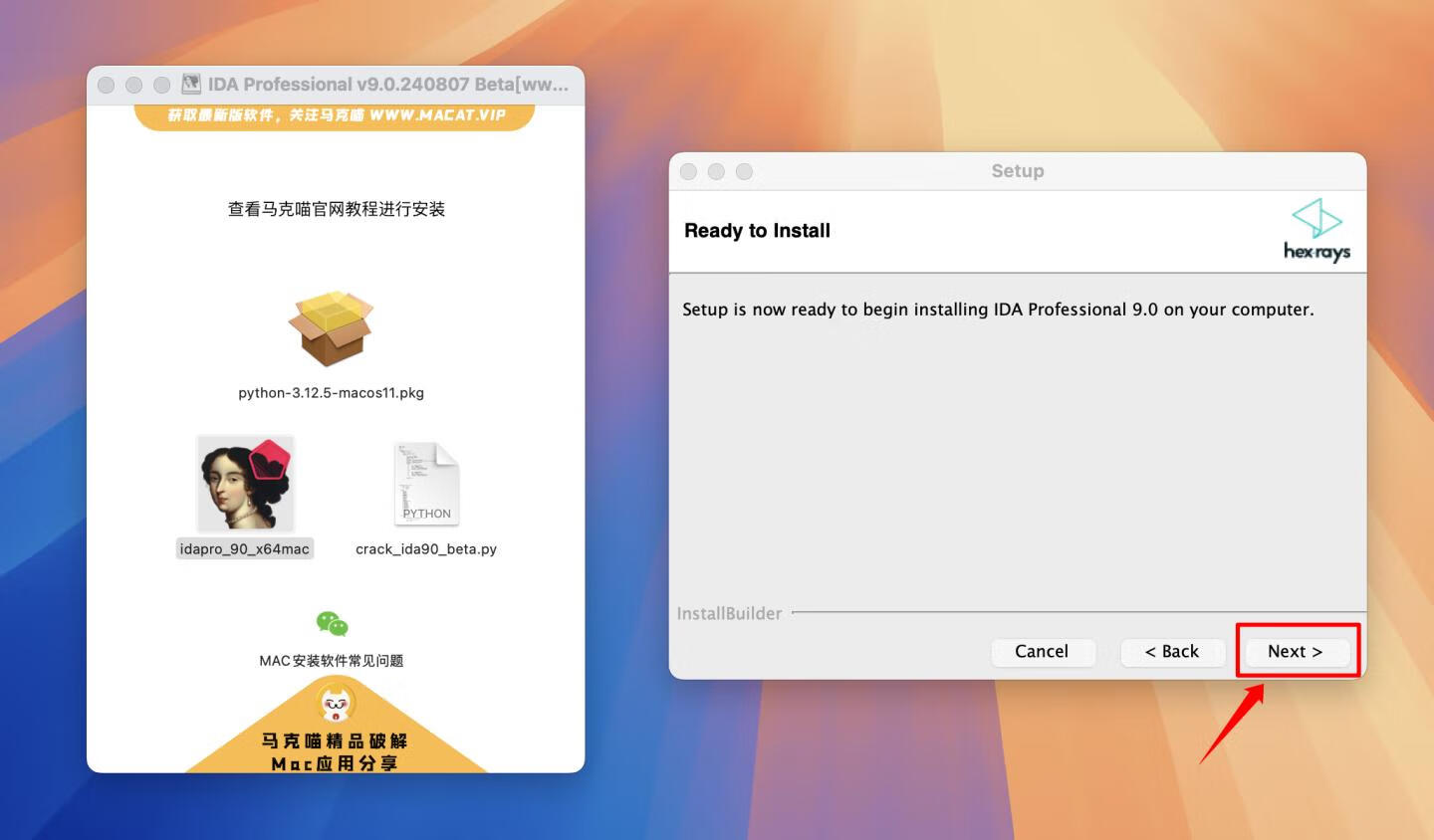 IDA Professional for mac v9.0.240807 Beta版 反汇编逆向神器