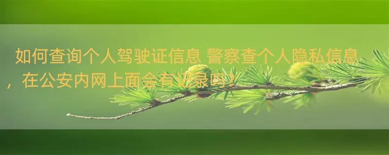 如何查询个人驾驶证信息 警察查个人隐私信息，在公安内网上面会有记录吗？