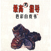

最高考指导：色彩白皮书