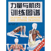 

力量与肌肉训练图谱