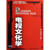 

电视文化学
