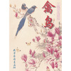 

禽鸟工笔花鸟画法