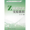 

南开大学经济类系列实验教材：政府会计实验教程