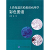 

上消化道活检组织病理学彩色图谱