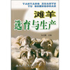 

滩羊选育与生产