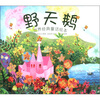 

世界经典童话绘本：野天鹅