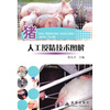 

猪人工授精技术图解