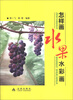 

怎样画水果水彩画