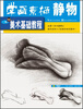 

美术基础教程：学画素描静物