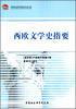 

中国社会科学院老学者文库西欧文学史指要