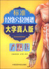 

标准经络穴位图谱（大字真人版）